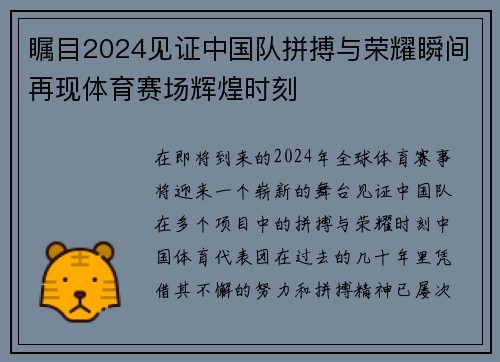 瞩目2024见证中国队拼搏与荣耀瞬间再现体育赛场辉煌时刻